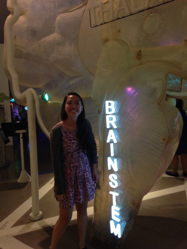 Here's a dorky photo of me looking like I was in a candy store next to the gigantic interactive brain the Mind Museum has. 